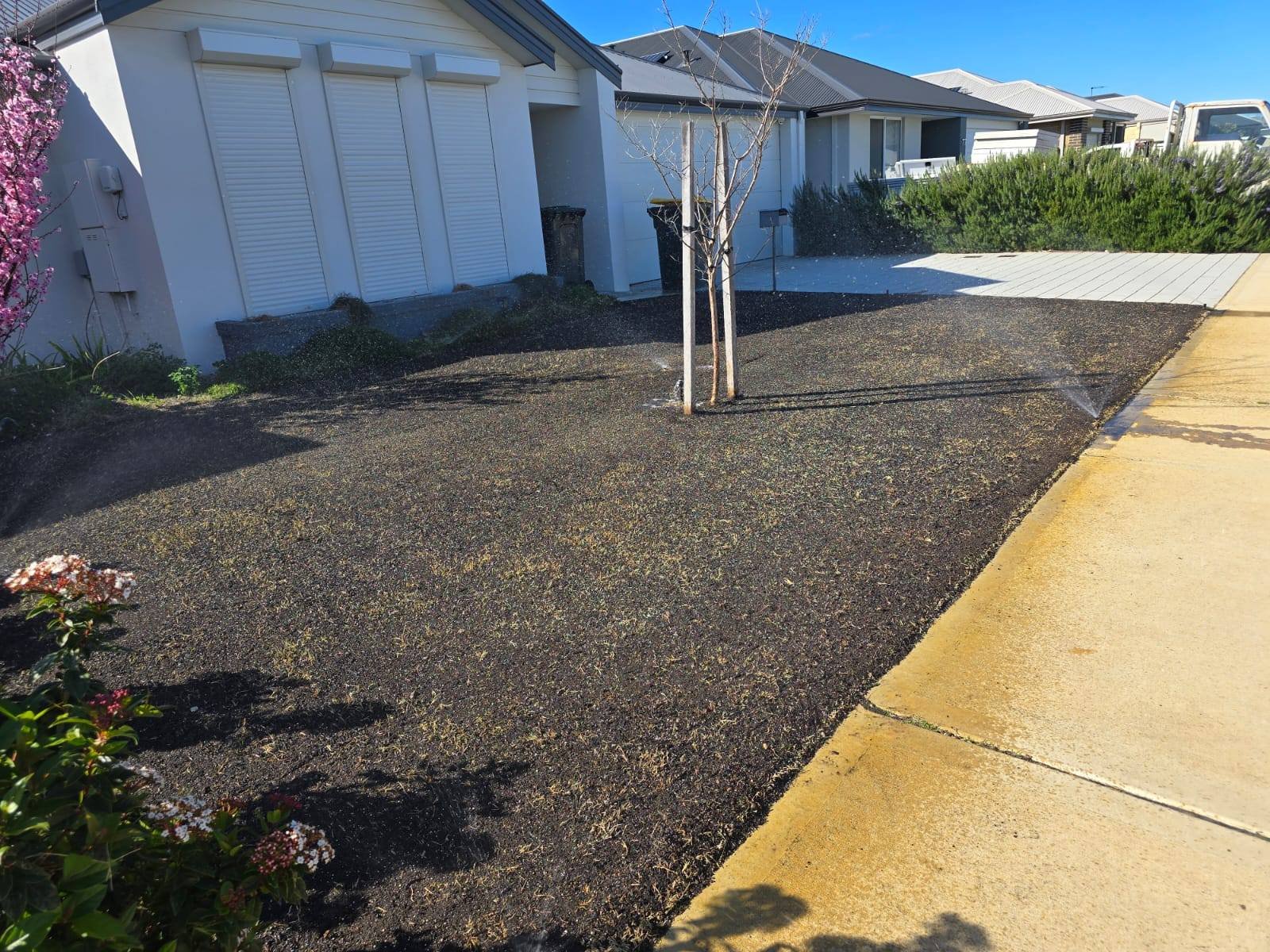 Renovated lawn and reticulation